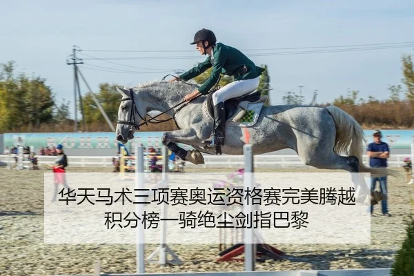 华天马术三项赛奥运资格赛完美腾越 积分榜一骑绝尘剑指巴黎