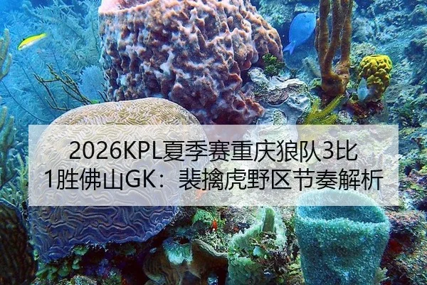 2026KPL夏季赛重庆狼队3比1胜佛山GK：裴擒虎野区节奏解析