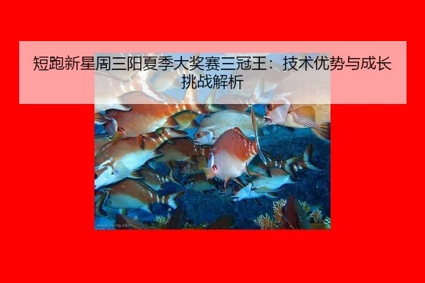 duan-pao-xin-xing-zhou-san-yang-xia-ji-da-jiang-sai-san-guan-wang-ji-shu-you-shi-yu-cheng-zhang-tiao-zhan-jie-xi-2-190.jpg